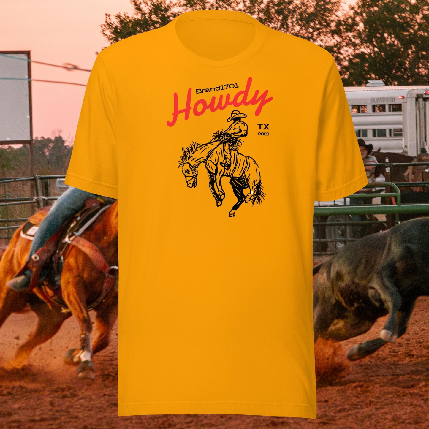 Howdy Rodeo Tee (black graphic)